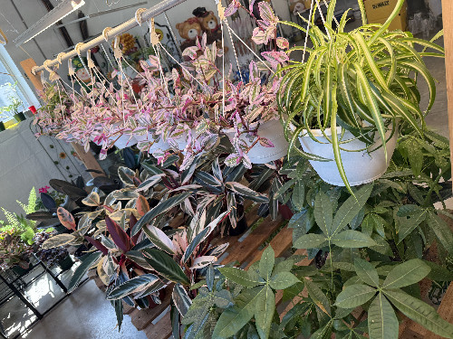 EP Nursery