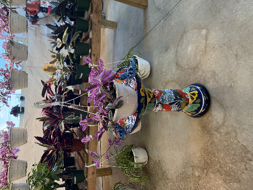 EP Nursery