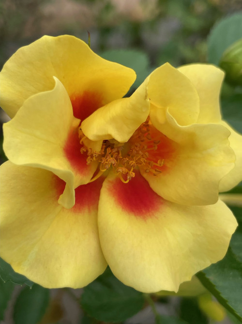 EP Nursery